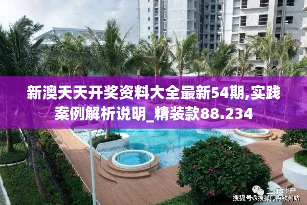 新澳天天开奖资料大全最新54期,实践案例解析说明_精装款88.234