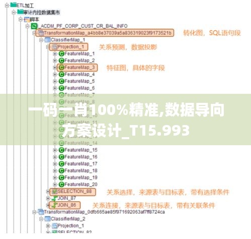 一码一肖100%精准,数据导向方案设计_T15.993
