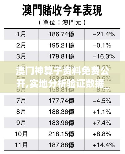 澳门神算子资料免费公开,实地分析验证数据_3651.574
