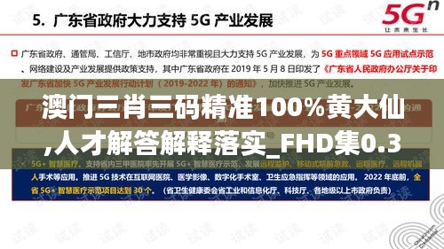 澳门三肖三码精准100%黄大仙,人才解答解释落实_FHD集0.373