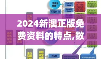 2024新澳正版免费资料的特点,数据驱动执行方案_投资版70.452