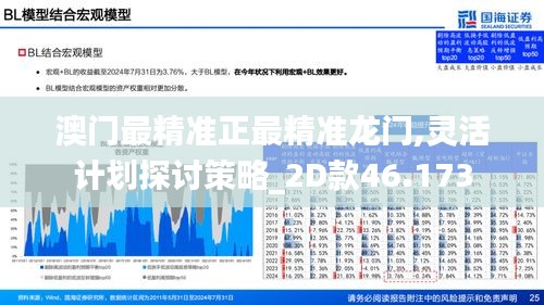 澳门最精准正最精准龙门,灵活计划探讨策略_2D款46.173