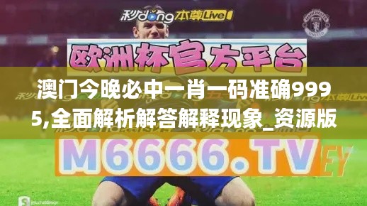 澳门今晚必中一肖一码准确9995,全面解析解答解释现象_资源版78.897