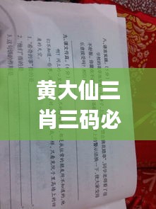 黄大仙三肖三码必中三,典雅解答解释落实_可靠集88.902
