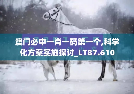 澳门必中一肖一码第一个,科学化方案实施探讨_LT87.610