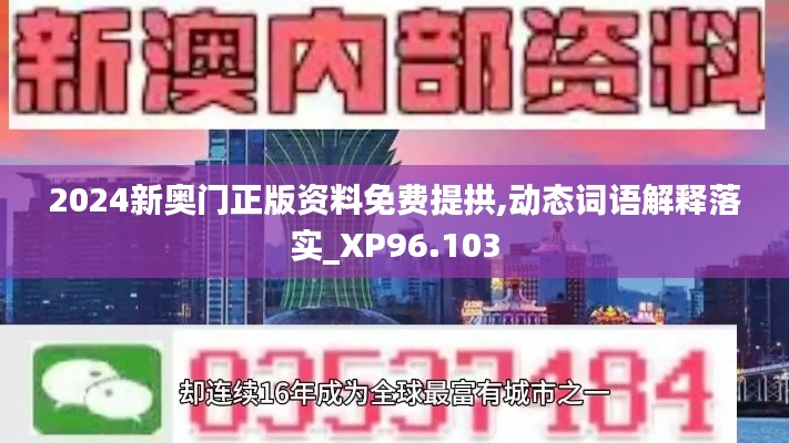 2024新奥门正版资料免费提拱,动态词语解释落实_XP96.103