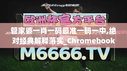 管家婆一肖一码最准一码一中,绝对经典解释落实_Chromebook91.189