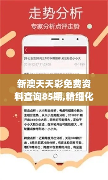 新澳天天彩免费资料查询85期,精细化策略定义探讨_手游版58.650