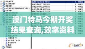 澳门特马今期开奖结果查询,效率资料解释落实_限量款45.402
