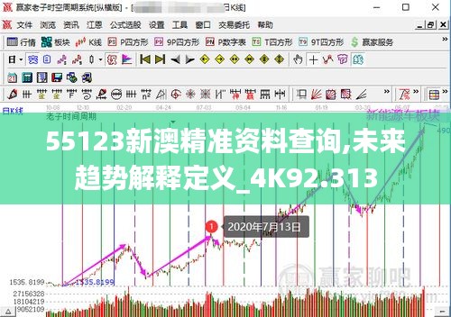 55123新澳精准资料查询,未来趋势解释定义_4K92.313