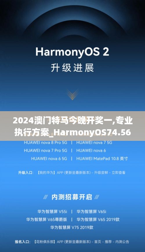 2024澳门特马今晚开奖一,专业执行方案_HarmonyOS74.563