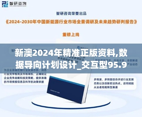 新澳2024年精准正版资料,数据导向计划设计_交互型95.98