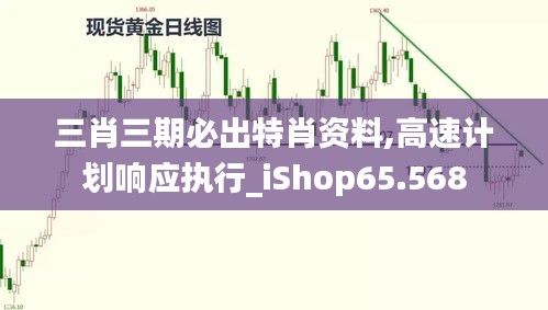 三肖三期必出特肖资料,高速计划响应执行_iShop65.568