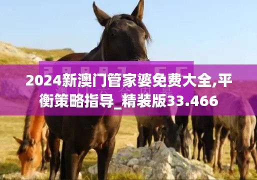 2024新澳门管家婆免费大全,平衡策略指导_精装版33.466