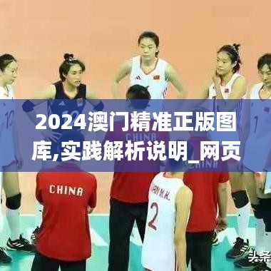 2024澳门精准正版图库,实践解析说明_网页款63.908
