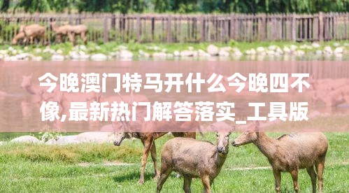 今晚澳门特马开什么今晚四不像,最新热门解答落实_工具版78.307