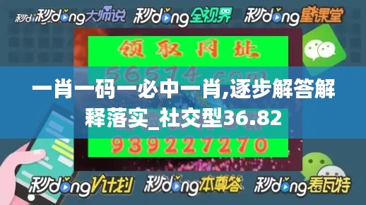 一肖一码一必中一肖,逐步解答解释落实_社交型36.82
