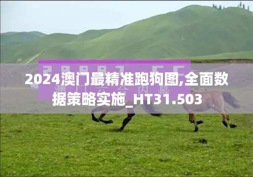 2024澳门最精准跑狗图,全面数据策略实施_HT31.503