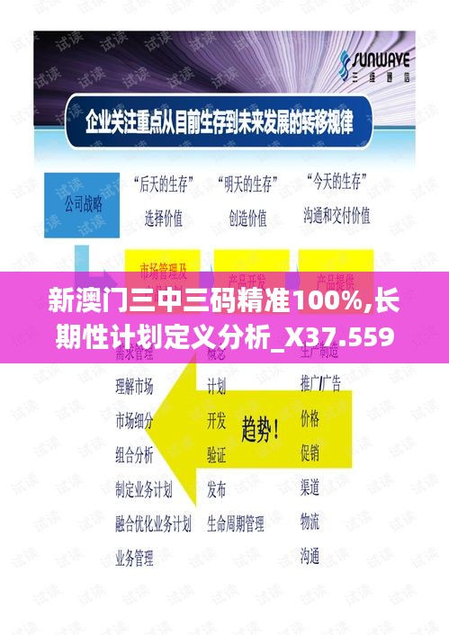 新澳门三中三码精准100%,长期性计划定义分析_X37.559