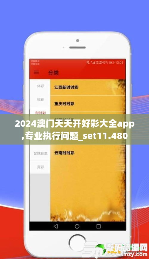 2024澳门天天开好彩大全app,专业执行问题_set11.480