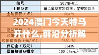 2024澳门今天特马开什么,前沿分析解答解释现象_亲和版34.149