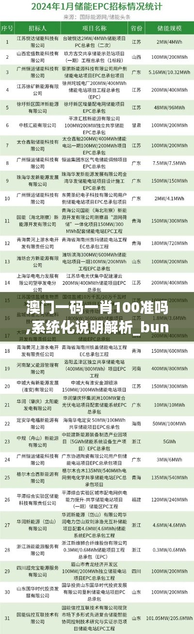 澳门一码一肖100准吗,系统化说明解析_bundle60.61