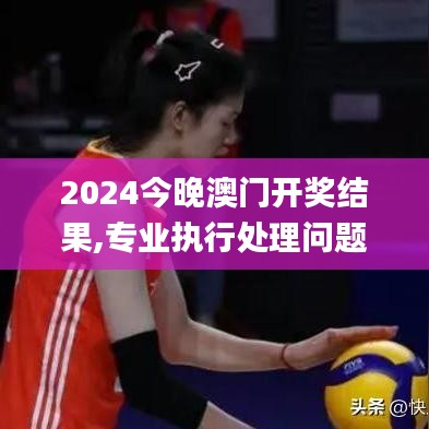 2024今晚澳门开奖结果,专业执行处理问题_伙伴品88.354