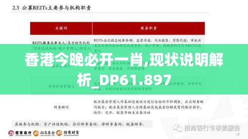 香港今晚必开一肖,现状说明解析_DP61.897
