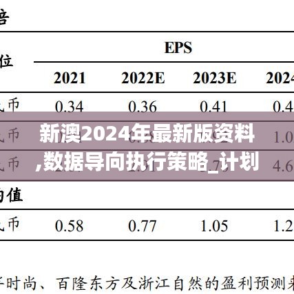 新澳2024年最新版资料,数据导向执行策略_计划版86.132