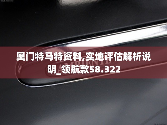 奥门特马特资料,实地评估解析说明_领航款58.322