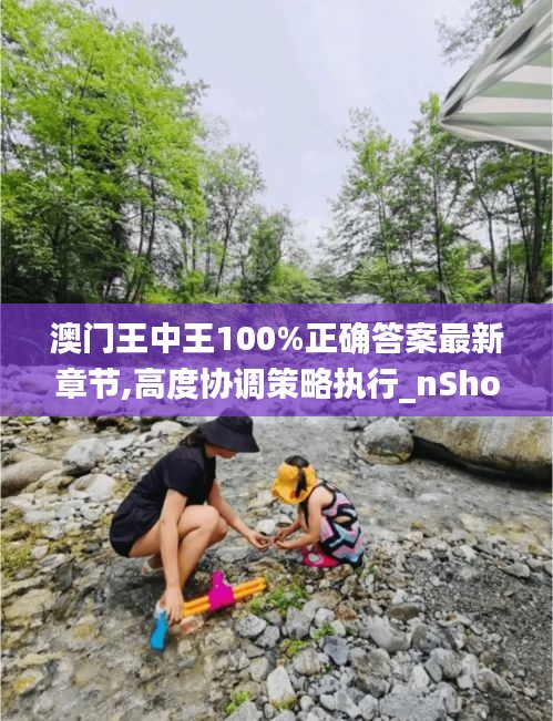 澳门王中王100%正确答案最新章节,高度协调策略执行_nShop95.146