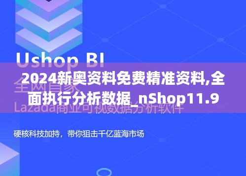 2024新奥资料免费精准资料,全面执行分析数据_nShop11.969