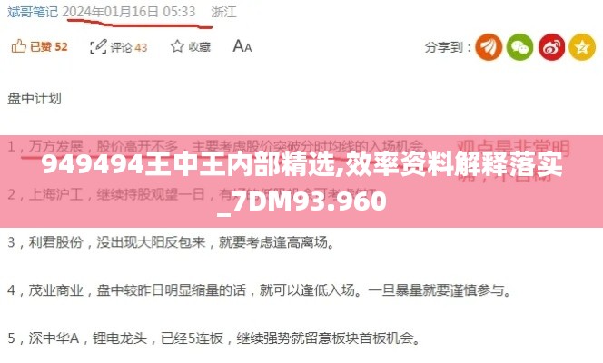 949494王中王内部精选,效率资料解释落实_7DM93.960