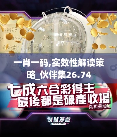 一肖一码,实效性解读策略_伙伴集26.74