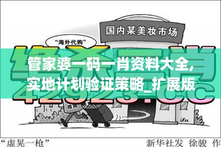 管家婆一码一肖资料大全,实地计划验证策略_扩展版42.669