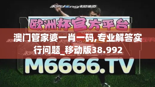 澳门管家婆一肖一码,专业解答实行问题_移动版38.992