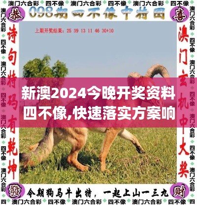 新澳2024今晚开奖资料四不像,快速落实方案响应_ios78.188