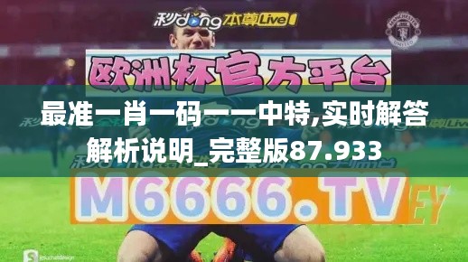 最准一肖一码一一中特,实时解答解析说明_完整版87.933