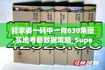 管家婆一码中一肖630集团,实地考察数据策略_Superior99.684