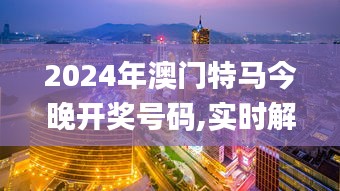 2024年澳门特马今晚开奖号码,实时解答解析说明_桌面版17.863