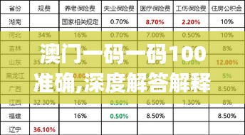 澳门一码一码100准确,深度解答解释定义_VIP15.226