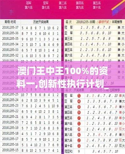 澳门王中王100%的资料一,创新性执行计划_SE版23.777