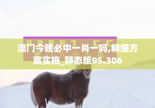 澳门今晚必中一肖一吗,精细方案实施_静态版95.306