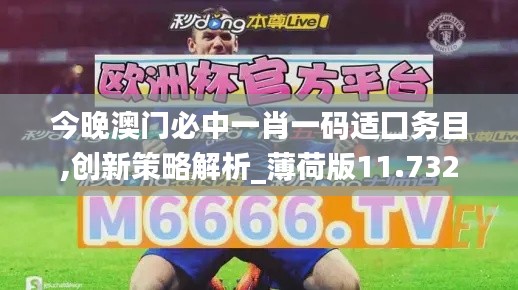 今晚澳门必中一肖一码适囗务目,创新策略解析_薄荷版11.732