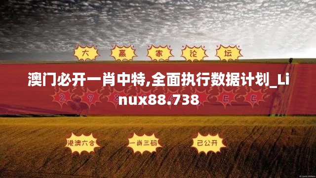 澳门必开一肖中特,全面执行数据计划_Linux88.738
