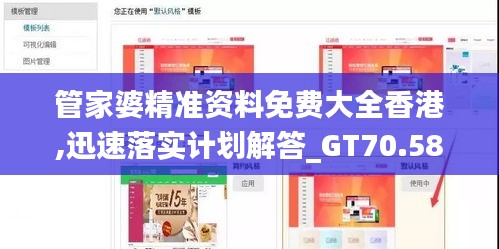 管家婆精准资料免费大全香港,迅速落实计划解答_GT70.587