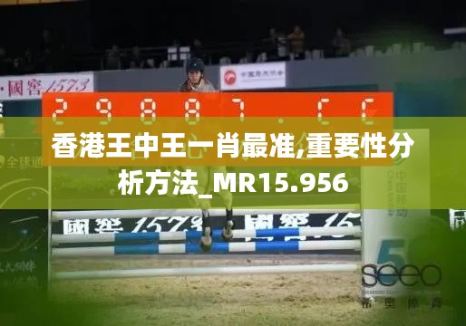 香港王中王一肖最准,重要性分析方法_MR15.956