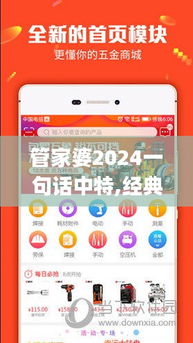 管家婆2024一句话中特,经典说明解析_iPad55.659