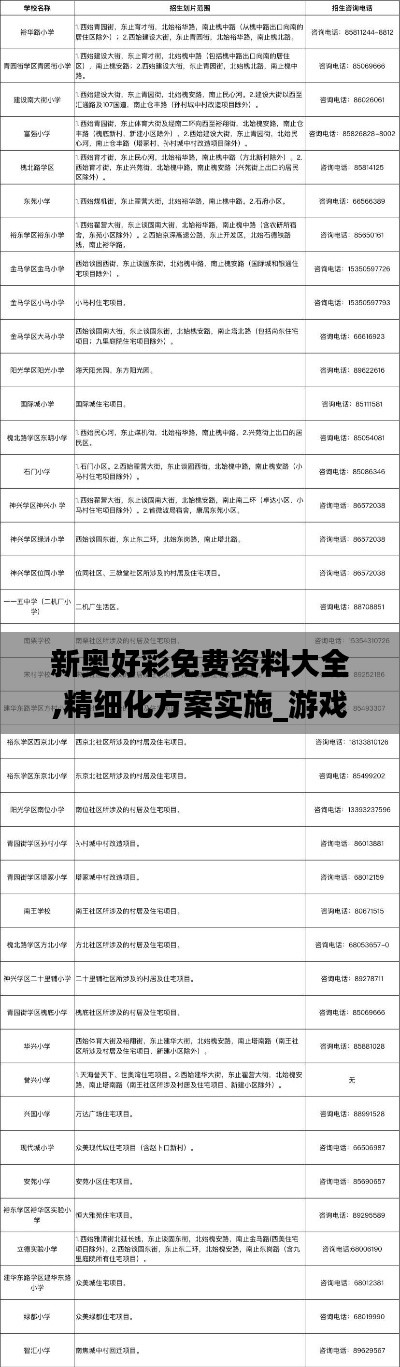 新奥好彩免费资料大全,精细化方案实施_游戏版256.184