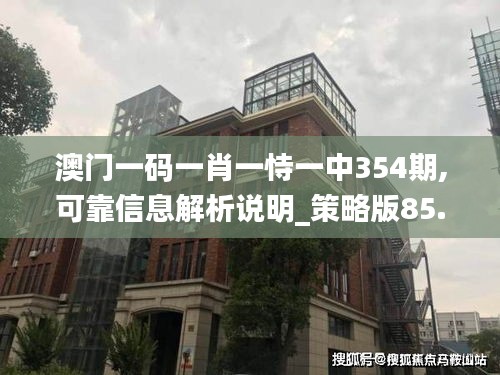 澳门一码一肖一恃一中354期,可靠信息解析说明_策略版85.285